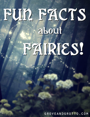 Fun facts about fairies!
