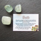 Green Fluorite (Package of 3 with Info Card)