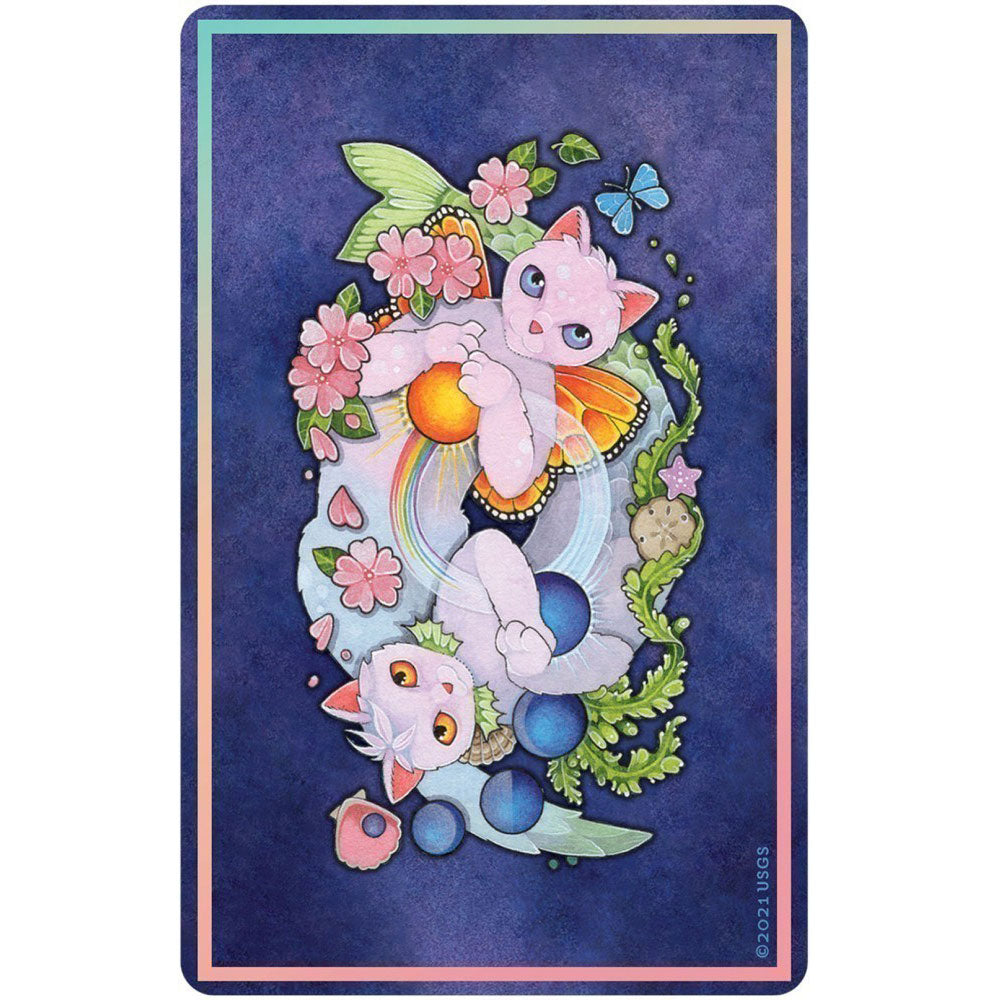 Affirmations of the Fairy Cats Deck and Book Set