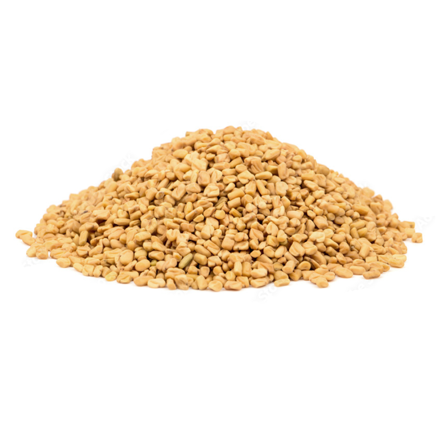 Fenugreek Seed (1 oz)