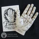 Palmistry Hand with Booklet