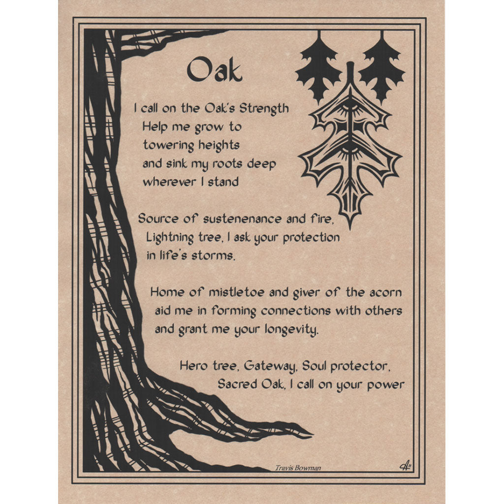 Oak Tree Prayer Parchment Poster (8.5" x 11")