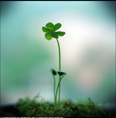 Interested in Pagan practice but don’t know where to start? Try these safe and easy first steps.