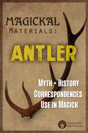 Magickal materials: Antler