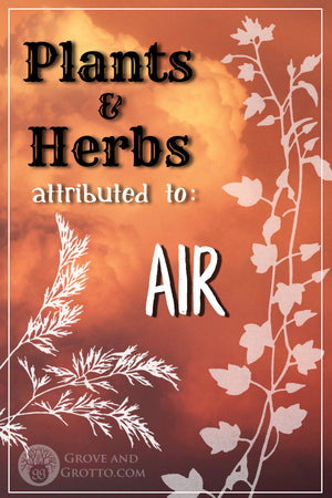 What plants and herbs are attributed to Air?