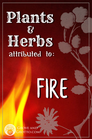 What plants and herbs are attributed to Fire?