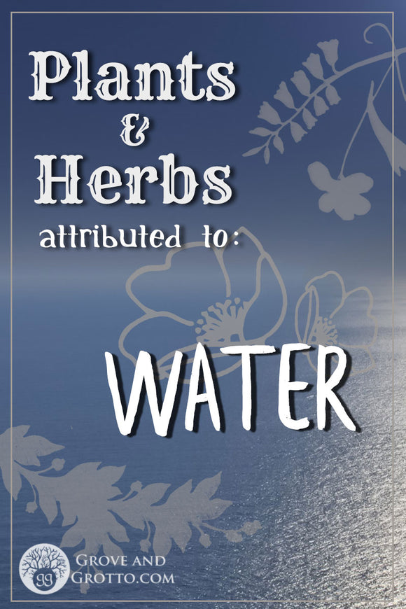 What plants and herbs are attributed to Water?