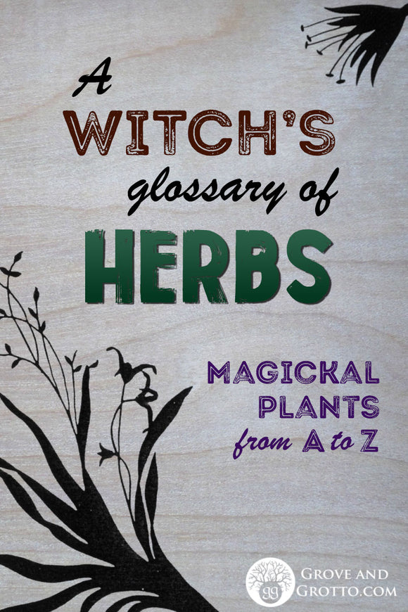 A Witch's glossary of herbs