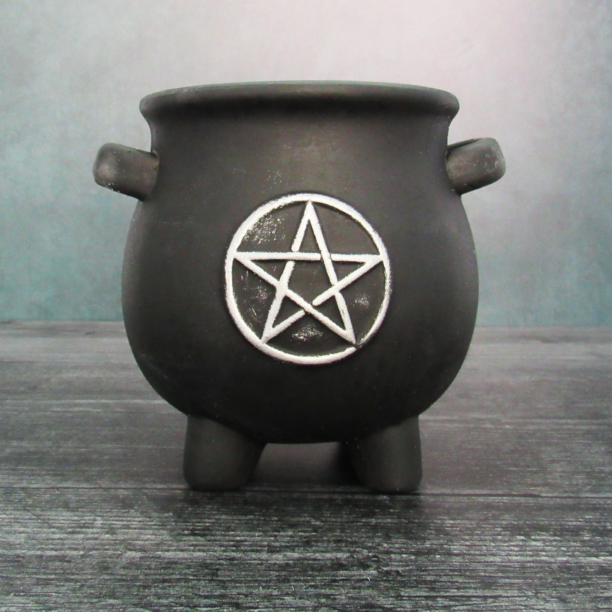 cauldron succulent Pentagram Cauldron Planter
