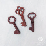 Iron Keys (Set of 3)