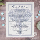 Elephant Prayer Parchment Poster (8.5" x 11")