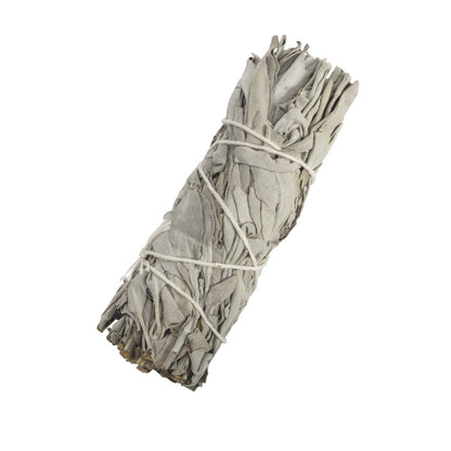White Sage Bundle