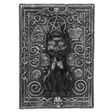 Black Cat Tarot Box