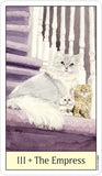 Cat's Eye Tarot