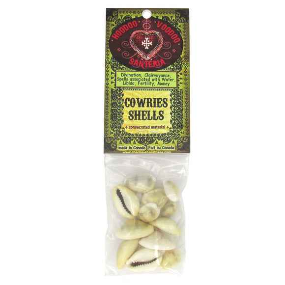 Cowrie Shells by Charme et Sortilege – Grove and Grotto