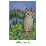 Affirmations of the Fairy Cats Deck and Book Set
