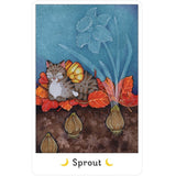 Affirmations of the Fairy Cats Deck and Book Set
