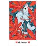 Affirmations of the Fairy Cats Deck and Book Set