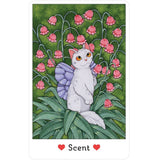 Affirmations of the Fairy Cats Deck and Book Set