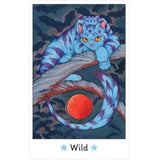 Affirmations of the Fairy Cats Deck and Book Set