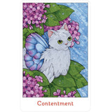 Affirmations of the Fairy Cats Deck and Book Set