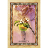 Celtic Tree Oracle