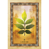 Celtic Tree Oracle