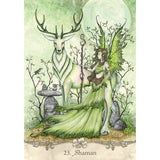 Fairy Wisdom Oracle (Boxed Set)