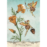 Fairy Wisdom Oracle (Boxed Set)