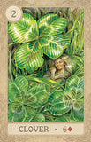 Fairy Tale Lenormand (Collectible Tin)