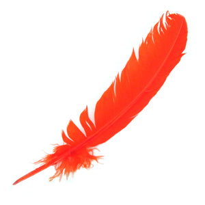 Large Orange Feather