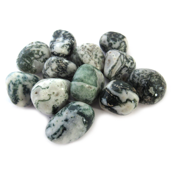 Moss Agate (1 Piece)