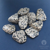 Dalmatian Stone (1 Piece)