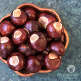 Buckeyes (1 oz)