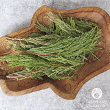 Cedar Tips (1 oz)