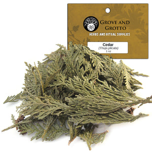 Cedar Tips (1 oz)
