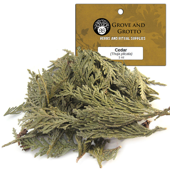 Cedar Tips (1 oz)