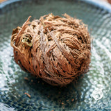 Jericho Flower