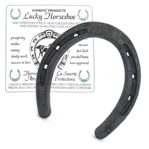 Lucky Horseshoe
