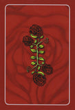 Mother Mary Oracle