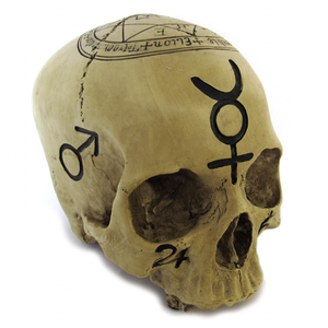 Alchemical Skull