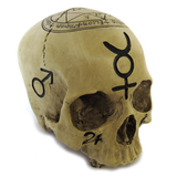Alchemical Skull
