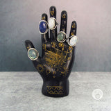 Fortune Teller Palmistry Figurine (Black)