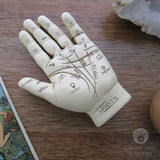 Palmistry Hand with Booklet