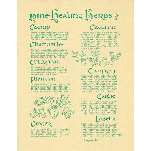 Nine Healing Herbs Parchment Poster (8.5