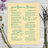 Nine Healing Herbs Parchment Poster (8.5" x 11")