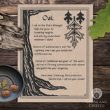 Oak Tree Prayer Parchment Poster (8.5" x 11")