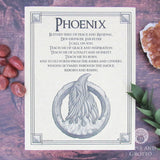 Phoenix Parchment Poster (8.5" x 11")