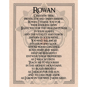 Rowan Tree Prayer Parchment Poster (8.5" x 11")