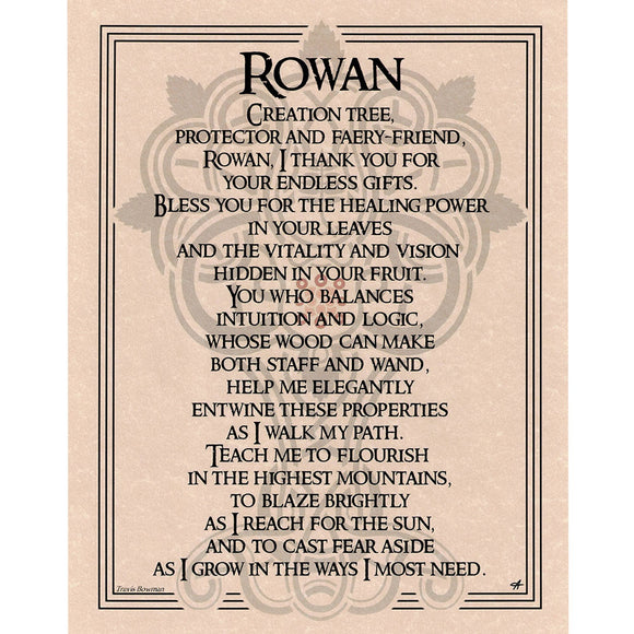 Rowan Tree Prayer Parchment Poster (8.5